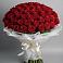 Букет 101 Красная роза Блэк Мэджик в Мошково