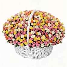 Премиум букет из: Розы в Мошково