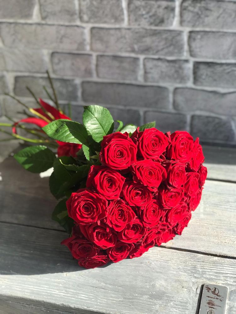 Букет Красные розы Фридом в Мошково