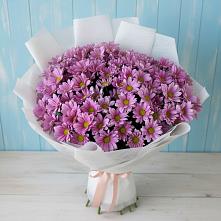 Букет цветов из:  Хризантемы в Мошково