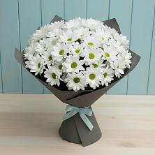 Букет цветов из:  Хризантемы в Мошково