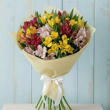 Букет цветов из:  Альстромерии #REPLACE_PRED# Мошково