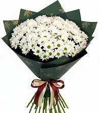 Букет цветов из:  Хризантемы #REPLACE_PRED# Мошково