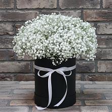 Цветочная композиция из Гипсофила в шляпной коробке в Мошково