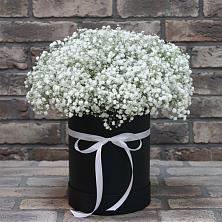 Цветочная композиция из Гипсофила в шляпной коробке в Мошково