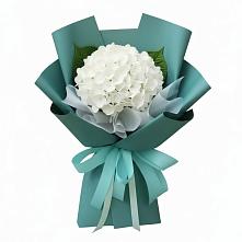 Букет цветов из:  Гортензия #REPLACE_PRED# Мошково